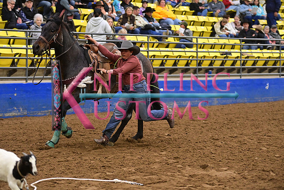 COBB, CARSYN DSC_9800.JPG