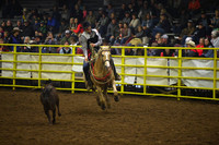 BOYD, LYNDONDSC_4841.JPG
