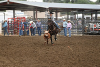 AAMOT, CANDICEDSC_3297.JPG
