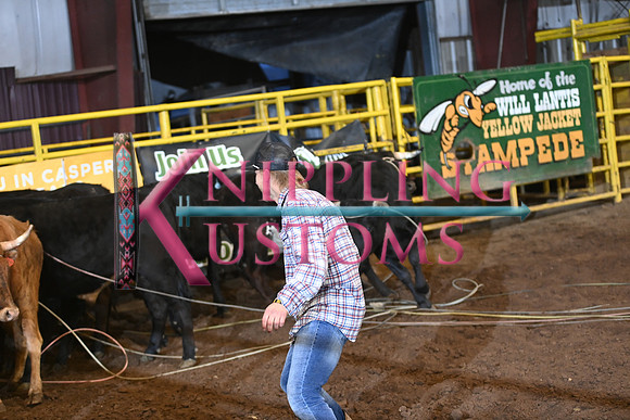 WILD STEER RIDINGDSC_6005.JPG
