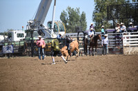 ACHESON, PAYSONDSC_4634.JPG