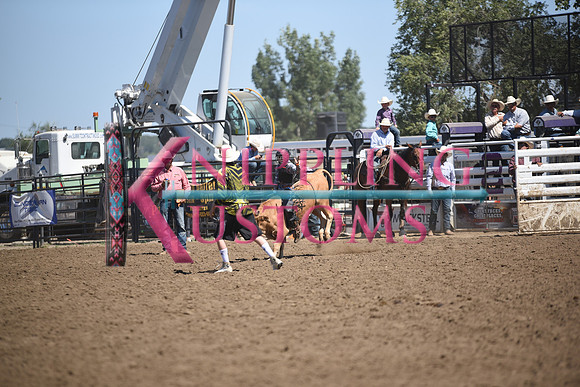 ACHESON, PAYSONDSC_4634.JPG