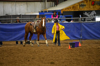 SHEPPICK, RYENDSC_3691.JPG