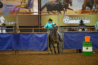 SEIDEL, BILLIDSC_2508.JPG