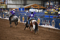 BRINK-HAUKDSC_8889.JPG