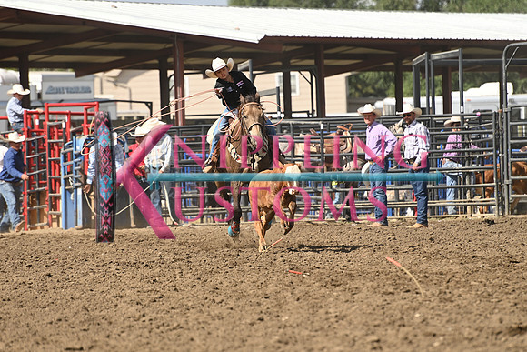 BENSON, RETRODSC_4157.JPG