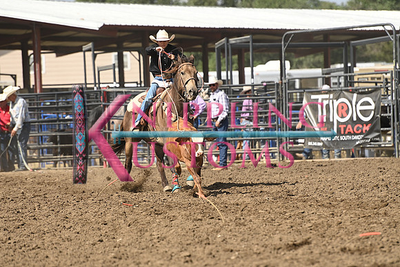 BENSON, RETRODSC_4159.JPG
