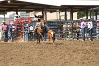 BENSON, RETRODSC_4155.JPG