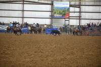 Dale-DaleDSC_4819
