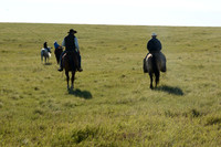 Hatranch Branding