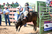 Steer Riding
