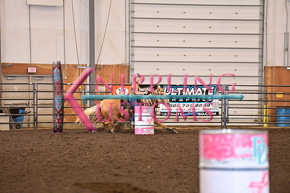BAILEY, KARIDSC_7301.JPG