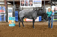 AWARDSDSC_9807.JPG