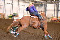 YORK, SHANNONDSC_3284.JPG