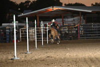 BEESON, SHADADSC_2429.JPG