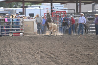 BENSON, TYMBER DSC_0576.JPG