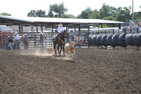 BENSON, TYMBER DSC_0582.JPG