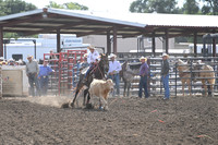 BENSON, TYMBER DSC_0579.JPG