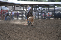 BENSON, TYMBER DSC_0581.JPG