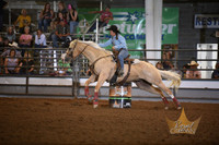 SAMPSON, LAINEEDSC_2840