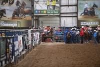 CASTLEBERRY, CLAIREDSC_3259.JPG