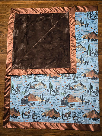3X5 Blue & Brown Cactus