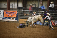 EDGAR, CASHDSC_8645.JPG