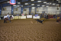 LAMMERS-LEMMONDSC_6065.JPG