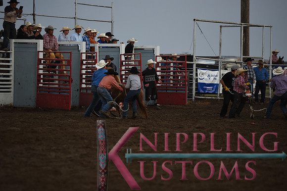 Wild Pony RaceDSC_6082