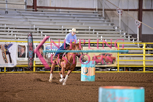 ARNOLD, SHELBYDSC_2014.JPG