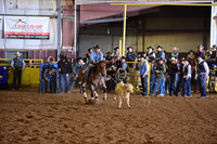 BARRINGER, TYDSC_4872.JPG