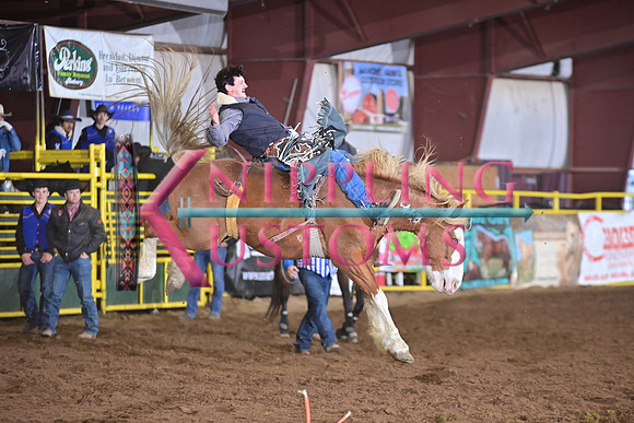 ANDREWS, TREVORDSC_5531.JPG