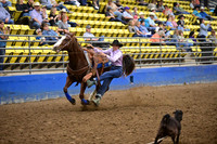 VAN WINKLE, PAISLEY DSC_7425.JPG