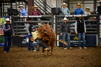 BAIL, KRUZEDSC_4215.JPG