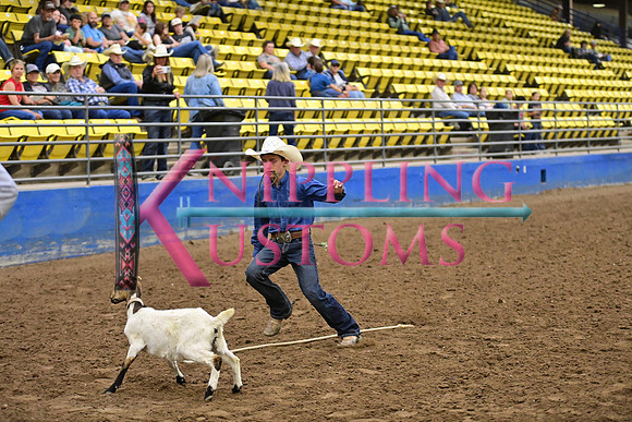 BAIL, KRUZEDSC_8054.JPG