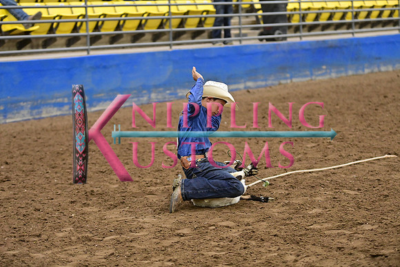 BAIL, KRUZEDSC_8058.JPG