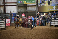 BAIL-BAILDSC_5361.JPG
