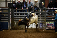BAIL, KRUZEDSC_8392.JPG