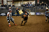 BAIL, KRUZEDSC_8397.JPG