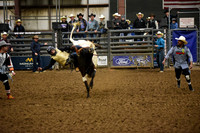BAIL, KRUZEDSC_8396.JPG
