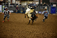 BAIL, KRUZEDSC_8398.JPG
