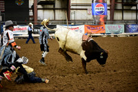 BAIL, KRUZEDSC_8401.JPG