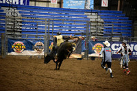 BAIL, KRUZE DSC_8615.JPG