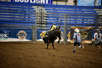 BAIL, KRUZE DSC_8616.JPG