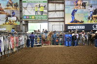 BOOMSMA, BRIA DSC_0528.JPG.JPG