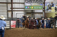 BOOMSMA-BOOMSMA DSC_1037.JPG