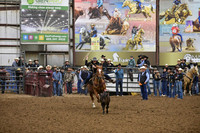 BOOMSMA-BOOMSMA DSC_1039.JPG