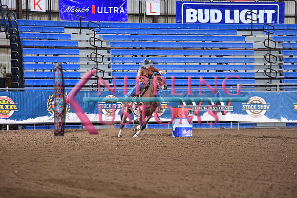 MAMMEN, KYLADSC_1590.JPG