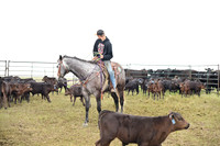 DSC_5268