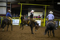BASSETT, TANNERDSC_1903.JPG